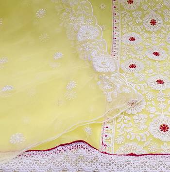light yellow organza embroidered dress material 4