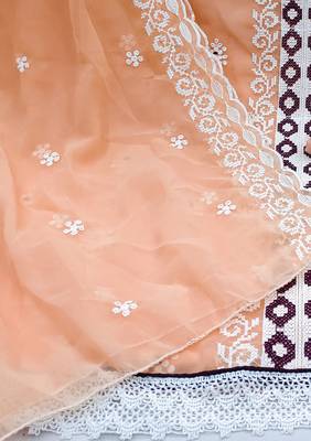 peach organza embroidered dress material 4