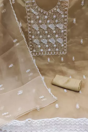 beige organza embroidered dress material