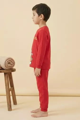 Boys cotton red chilly penguin printed nightsuit