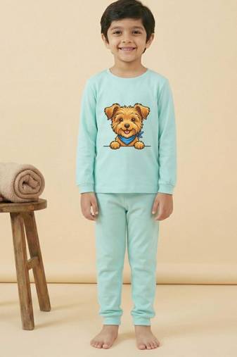 Boys cotton sea green happy puppy printed nightsuit