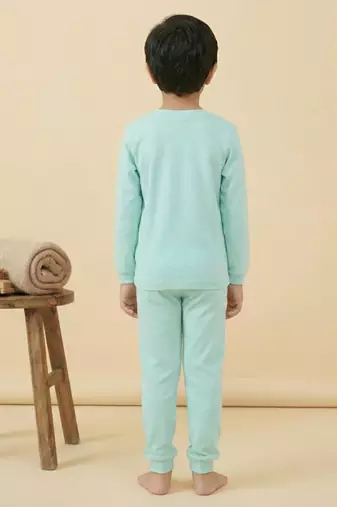 Boys cotton sea green happy puppy printed nightsuit