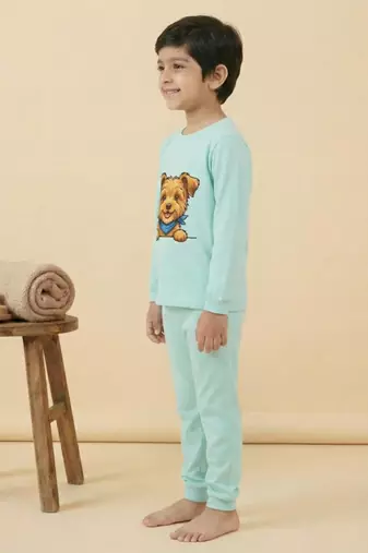 Boys cotton sea green happy puppy printed nightsuit