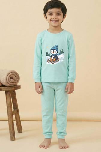 Boys cotton sea green penguin fun ride printed nightsuit