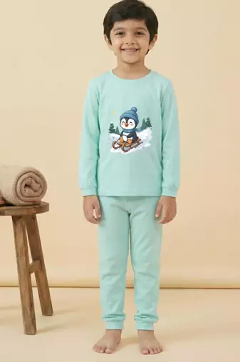 Boys cotton sea green penguin fun ride printed nightsuit