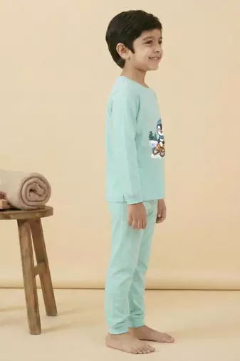 Boys cotton sea green penguin fun ride printed nightsuit
