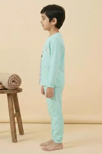 Boys cotton sea green cute koala crew printed nightsuit
