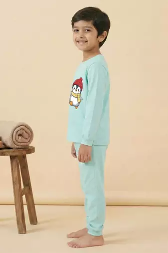 Boys cotton sea green waving penguin printed nightsuit
