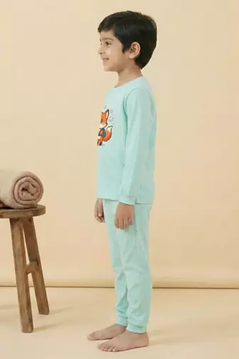 Boys cotton sea green bubble fox printed nightsuit