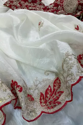 white organza tissue saree with heavy embroidery