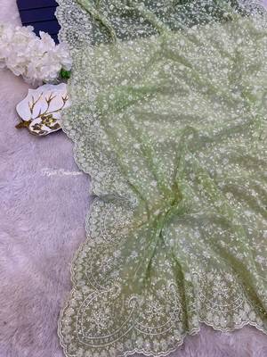 pastel green shimmer silk saree with embroidered border 3