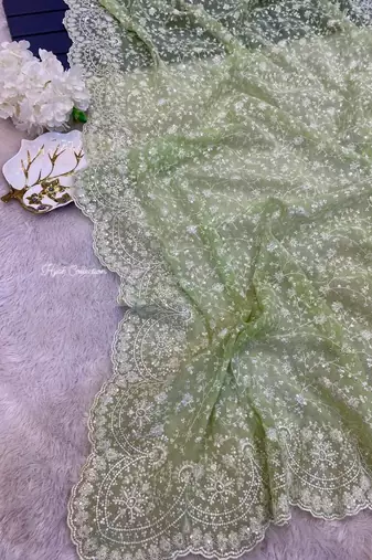 pastel green shimmer silk saree with embroidered border