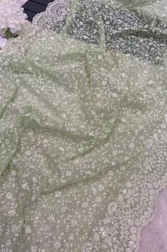 pastel green shimmer silk saree with embroidered border