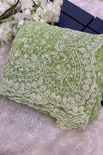 pastel green shimmer silk saree with embroidered border