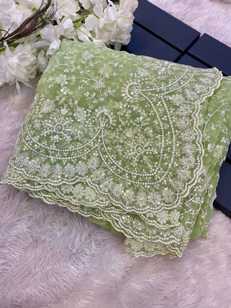 pastel green shimmer silk saree with embroidered border