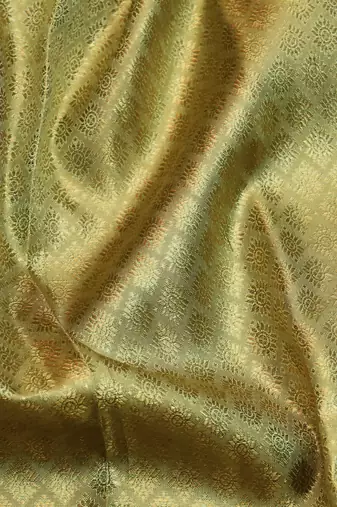 Pear green tissue pure zari kanjivaram silk saree