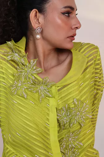 Green embroidered organza co ord set