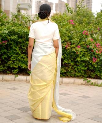ethereal gleam dual tone gold & silver saree 3