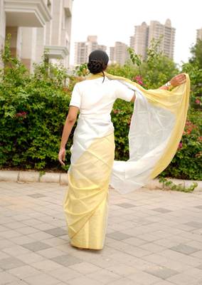 ethereal gleam dual tone gold & silver saree 5