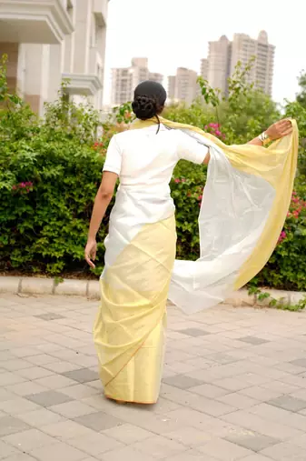 ethereal gleam dual tone gold & silver saree