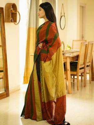 rainbow raga multi-colour saga cotton saree 4