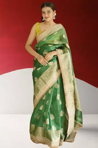 green banarasi saree with zari border