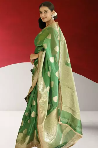 green banarasi saree with zari border