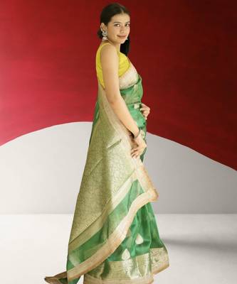 green banarasi saree with zari border 4