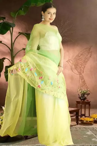 green-lime green ombre organza saree with hand embroidery