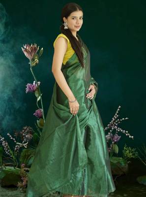 green glass tissue silk blend saree 3