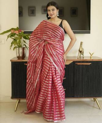 red saree with silver zari striped 2