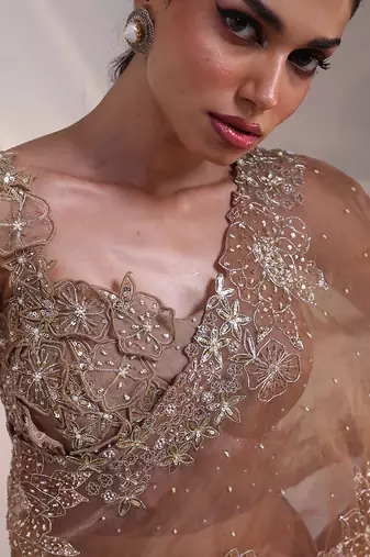 brown embroidered chiffon lehenga set