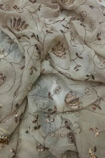 beige silk saree with beads sequins work