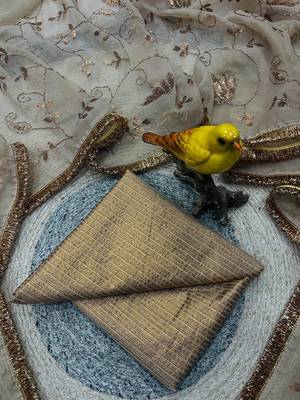 beige silk saree with beads sequins work 3