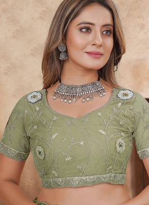 pista net saree with resham embroidery 2