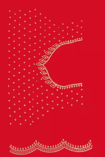 red silk saree with zarkan border work