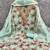  sea green embroidery print organza dress material 