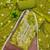 designer green handwork cotton silk dress material