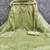 light green organza embroidered dress material