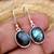Natural labradorite earrings /925 sterling silver leaf silver dangle earrings
