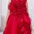 red organza gown with sleeveless style
