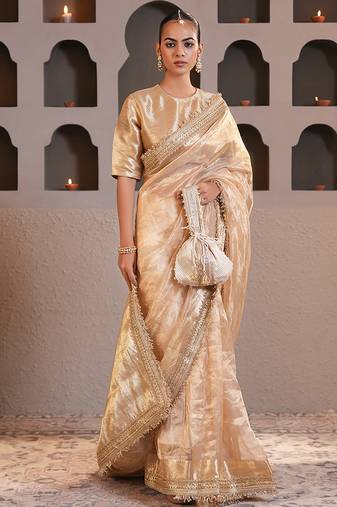 Gold embroidered pure tissue silk saree with blouse
