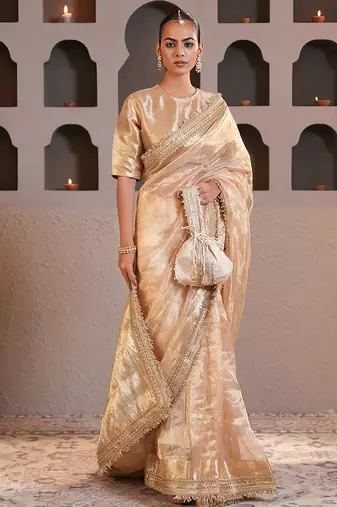 Gold embroidered pure tissue silk saree with blouse