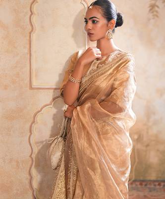Gold embroidered pure tissue silk saree with blouse 2