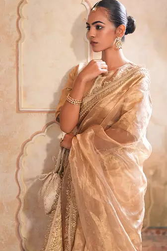 Gold embroidered pure tissue silk saree with blouse