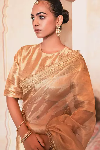 Gold embroidered pure tissue silk saree with blouse