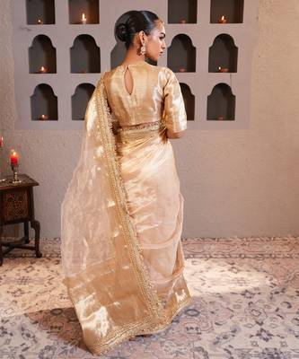 Gold embroidered pure tissue silk saree with blouse 5