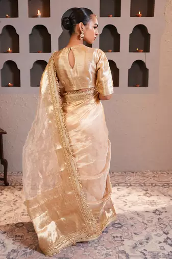 Gold embroidered pure tissue silk saree with blouse
