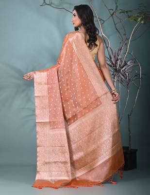elegant orange tissue saree with intricate border 3