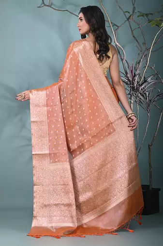 elegant orange tissue saree with intricate border